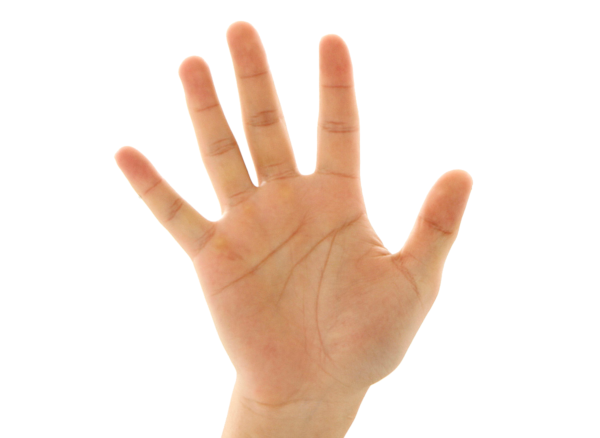 قراءة الكف
